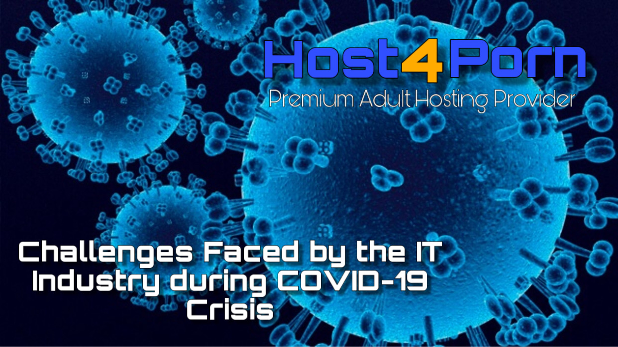 Challenges Faced by the IT Industry during COVID-19 Crisis